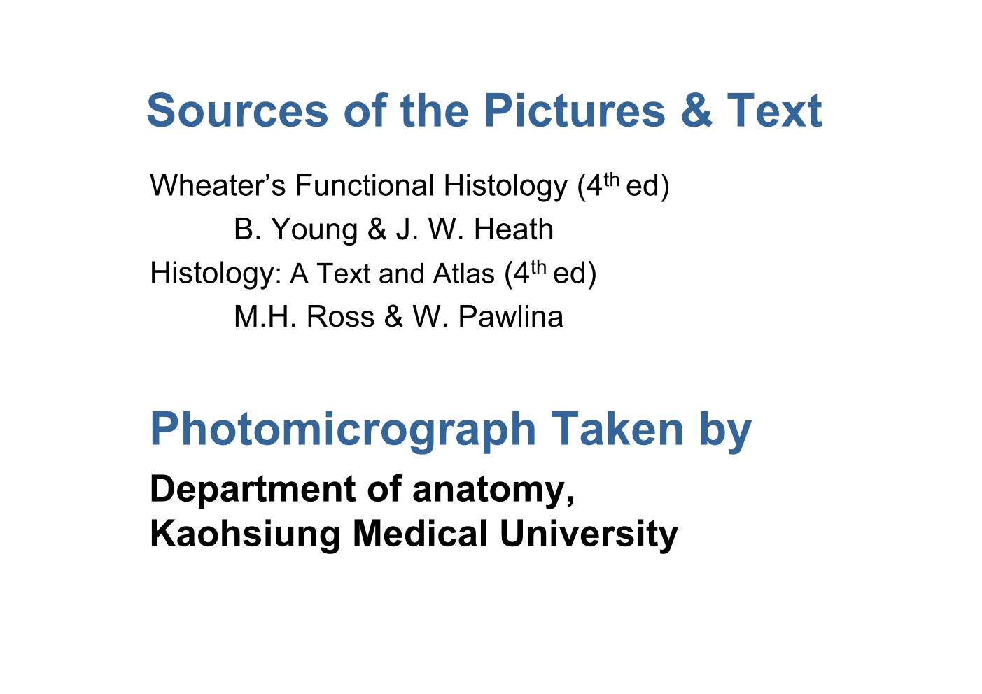 block10-1_02.jpg - Sources of the Pictures & TextWheater's Functional Histology (4th ed)      B. Young & J. W. HeathHistology: A Text and Atlas (4th ed)      M.H. Ross & W. PawlinaPhotomicrograph Taken byDepartment of anatomy,Kaohsiung Medical University