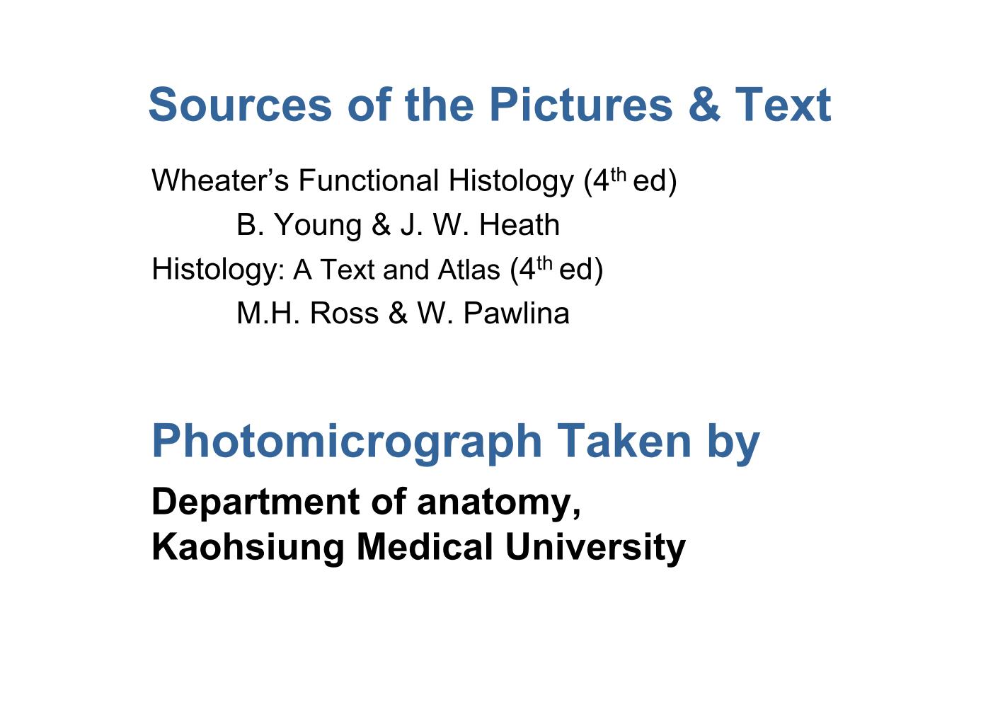 block10-2_02.jpg - Sources of the Pictures & TextWheater's Functional Histology (4th ed)      B. Young & J. W. HeathHistology: A Text and Atlas (4th ed)      M.H. Ross & W. PawlinaPhotomicrograph Taken byDepartment of anatomy,Kaohsiung Medical University