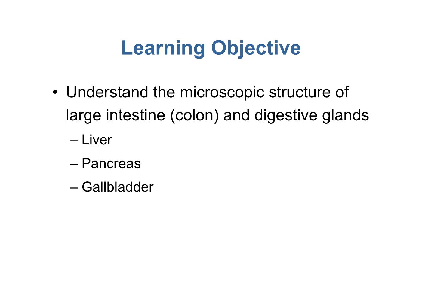 block10-2_04.jpg - Learning Objective¡E Understand the microscopic structure of  large intestine (colon) and digestive glands  ¡V Liver  ¡V Pancreas  ¡V Gallbladder