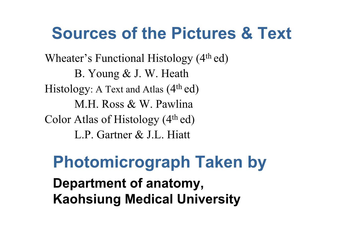 block14_02.jpg - Sources of the Pictures & TextWheater's Functional Histology (4th ed)      B. Young & J. W. HeathHistology: A Text and Atlas (4th ed)      M.H. Ross & W. PawlinaColor Atlas of Histology (4th ed)      L.P. Gartner & J.L. Hiatt Photomicrograph Taken by Department of anatomy, Kaohsiung Medical University