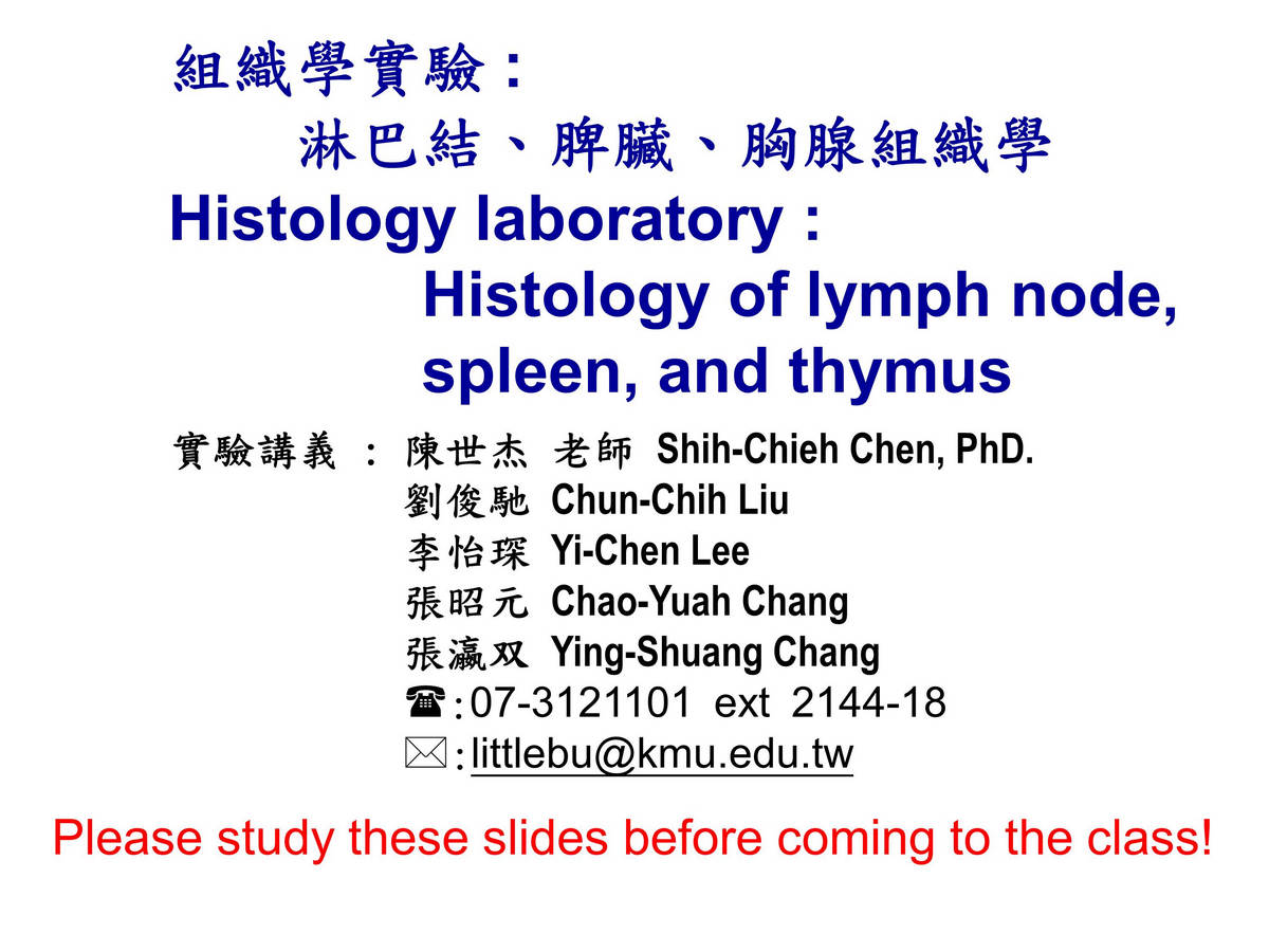 block3_01.jpg - Histology of lymph node, spleen, and thymusShih-Chieh Chen, PhD.Chun-Chih Liu,  Yi-Chen Lee, Ming-Lan Chang, Chao-Yuah Chang07-3121101 ext 2144-18 ; littlebu@kmu.edu.tw