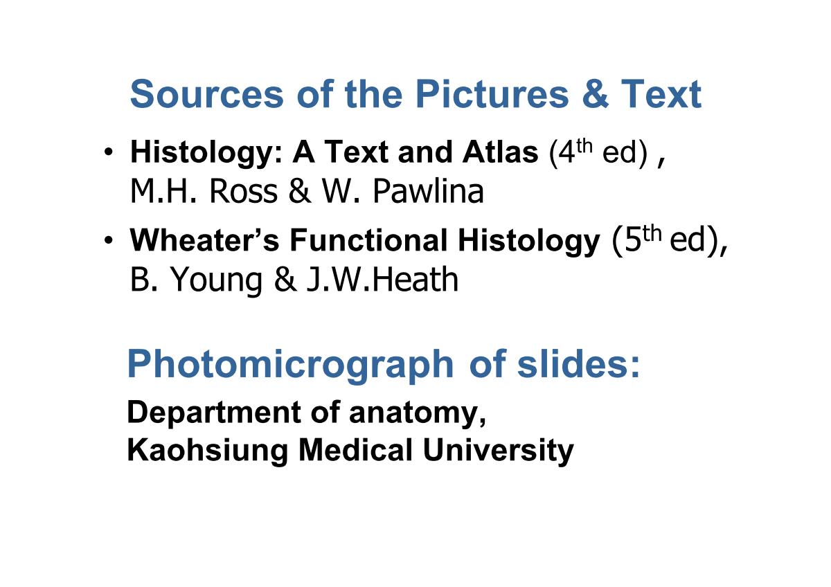 block3_02.jpg - Sources of the Pictures & TextHistology: A Text and Atlas (4th ed) ,M.H. Ross & W. PawlinaWheater's Functional Histology (5th ed),B. Young & J.W.Heath Photomicrograph of slides: Department of anatomy, Kaohsiung Medical University