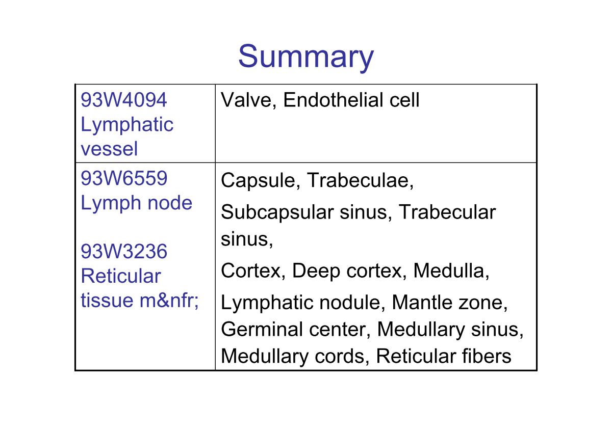 block3_28.jpg - Summary93W4094 Lymphatic vessel       Valve, Endothelial cell93W6559 Lymph node93W3236 Reticular tissue m&nfr      Capsule, Trabeculae,      Subcapsular sinus, Trabecular sinus,Cortex, Deep cortex, Medulla,Lymphatic nodule, Mantle zone,                Germinal center, Medullary sinus,Medullary cords, Reticular fibers