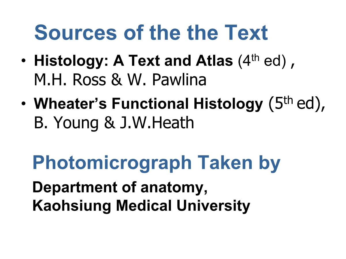 block4_02.jpg - Sources of the the TextHistology: A Text and Atlas (4th ed) , M.H. Ross & W. PawlinaWheater¡¦s Functional Histology (5th ed), B. Young & J.W.Heath Photomicrograph Taken by Department of anatomy, Kaohsiung Medical University