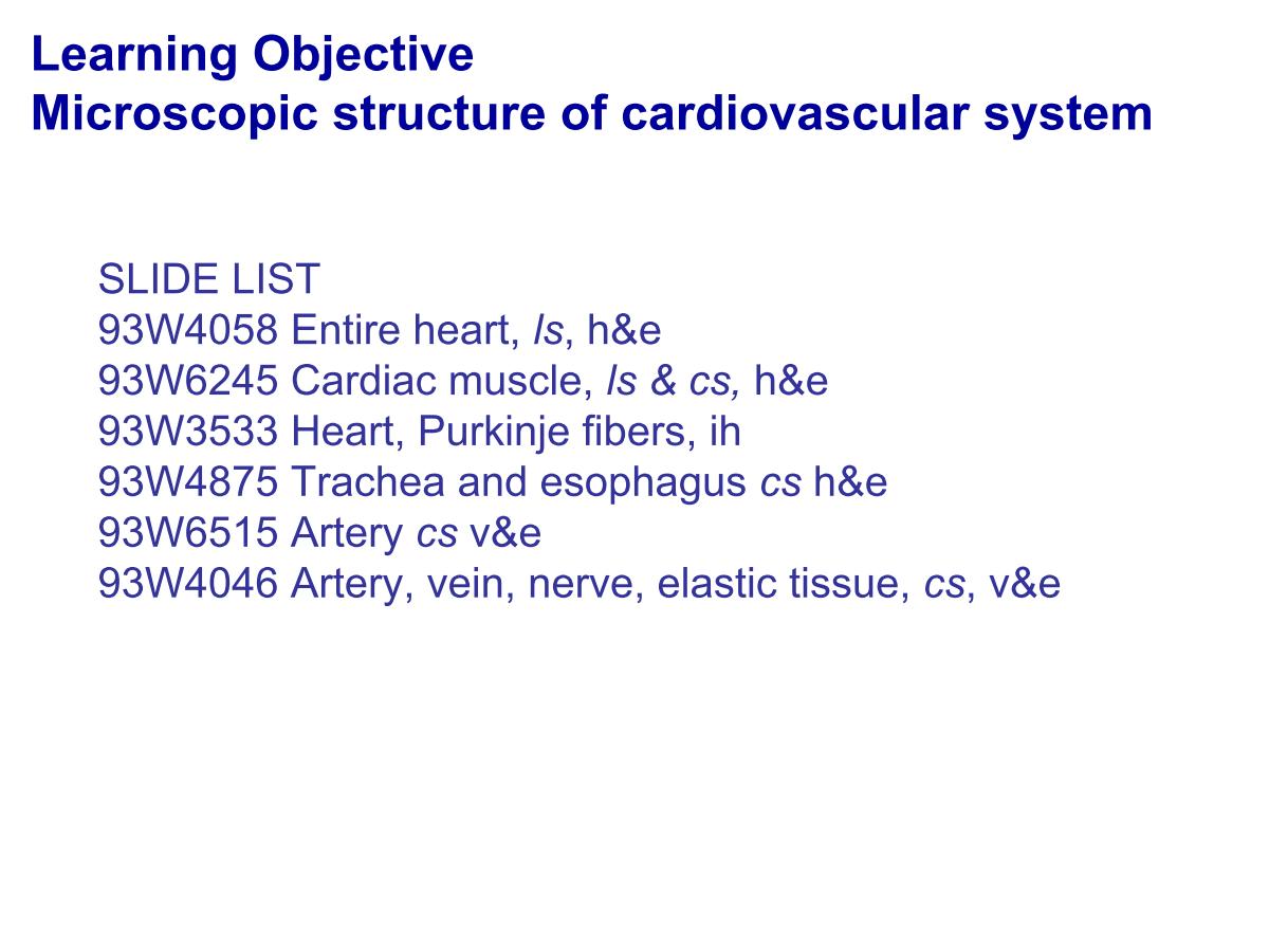block4_03.jpg - Learning ObjectiveMicroscopic structure of cardiovascular system  SLIDE LIST  93W4058 Entire heart, ls, h&e  93W6245 Cardiac muscle, ls & cs, h&e  93W3533 Heart, Purkinje fibers, ih  93W4875 Trachea and esophagus cs h&e  93W6515 Artery cs v&e  93W4046 Artery, vein, nerve, elastic tissue, cs, v&e