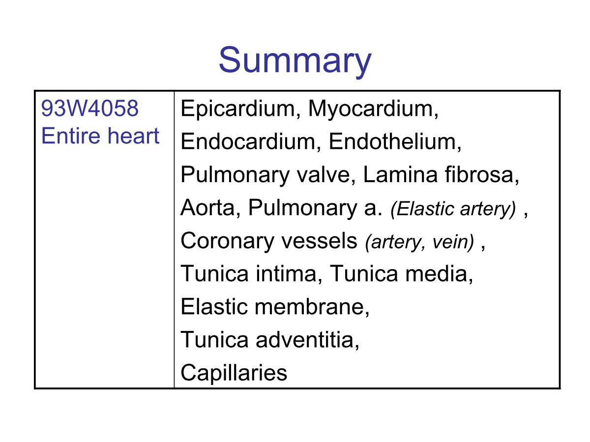 block4_26.jpg - Summary93W4058 Entire heart     Epicardium, Myocardium,Endocardium, Endothelium,Pulmonary valve, Lamina fibrosa,Aorta, Pulmonary a. (Elastic artery) ,Coronary vessels (artery, vein) ,Tunica intima, Tunica media,Elastic membrane,Tunica adventitia,Capillaries