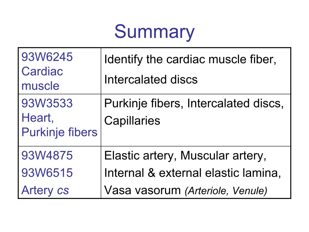 block4_27.jpg - Summary93W6245 Cardiac muscle         Identify the cardiac muscle fiber,Intercalated discs93W3533 Heart, Purkinje fibersPurkinje fibers, Intercalated discs,Capillaries93W4875 93W6515 Artery cs                     Elastic artery, Muscular artery,Internal & external elastic lamina,Vasa vasorum (Arteriole, Venule)