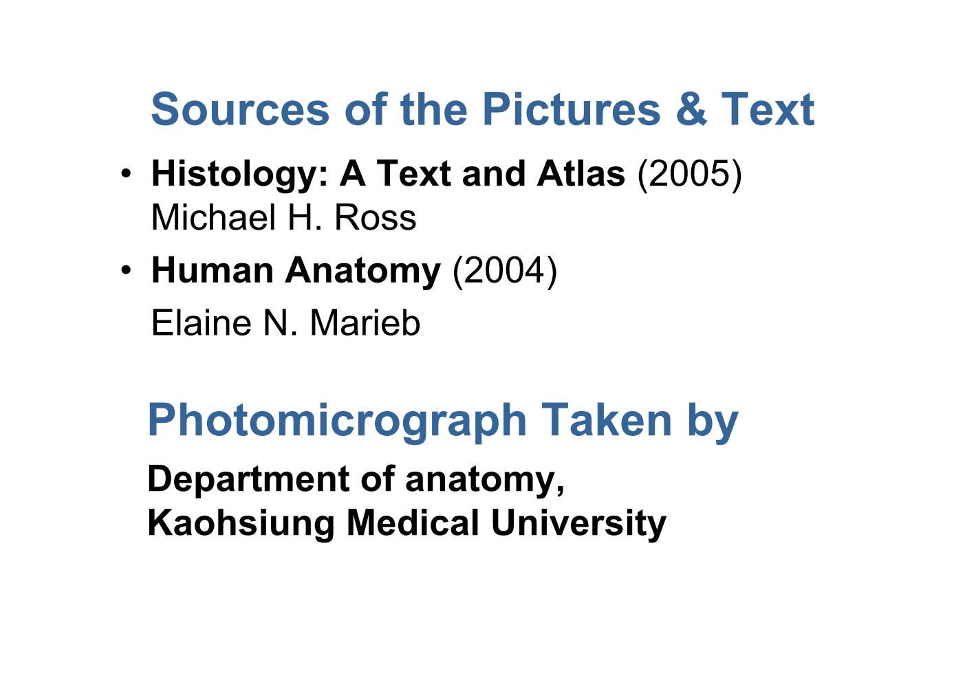 block9_02.jpg - Sources of the Pictures & Text¡E Histology: A Text and Atlas (2005)  Michael H. Ross¡E Human Anatomy (2004)  Elaine N. Marieb Photomicrograph Taken by Department of anatomy, Kaohsiung Medical University