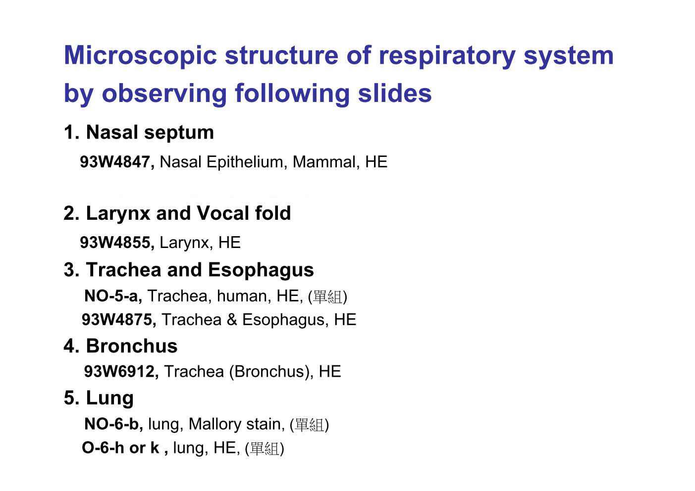 block9_03.jpg - Microscopic structure of respiratory systemby observing following slides1. Nasal septum 93W4847, Nasal Epithelium, Mammal, HE O-2-a, Nasal septum, HE, (³æ²Õ)2. Larynx and Vocal fold 93W4855, Larynx, HE3. Trachea and Esophagus NO-5-a, Trachea, human, HE, (³æ²Õ) 93W4875, Trachea & Esophagus, HE4. Bronchus  93W6912, Trachea (Bronchus), HE5. Lung NO-6-b, lung, Mallory stain, (³æ²Õ) O-6-h or k , lung, HE, (³æ²Õ)