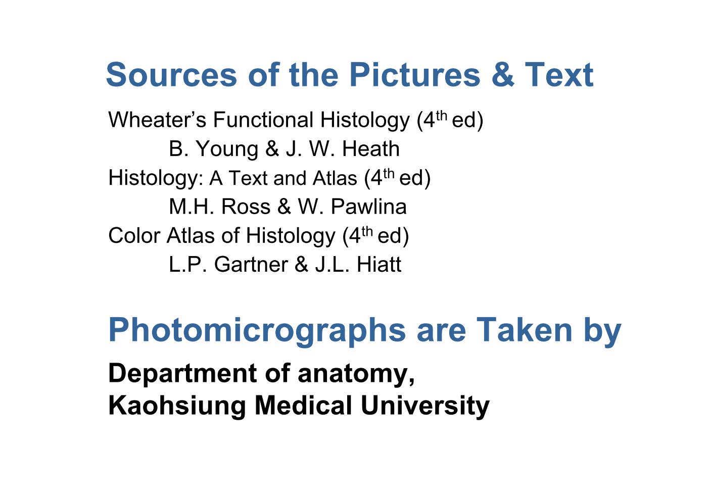 block6-1_02.jpg - Sources of the Pictures & TextWheater's Functional Histology (4th ed)      B. Young & J. W. HeathHistology: A Text and Atlas (4th ed)      M.H. Ross & W. PawlinaColor Atlas of Histology (4th ed)      L.P. Gartner & J.L. HiattPhotomicrographs are Taken byDepartment of anatomy,Kaohsiung Medical University