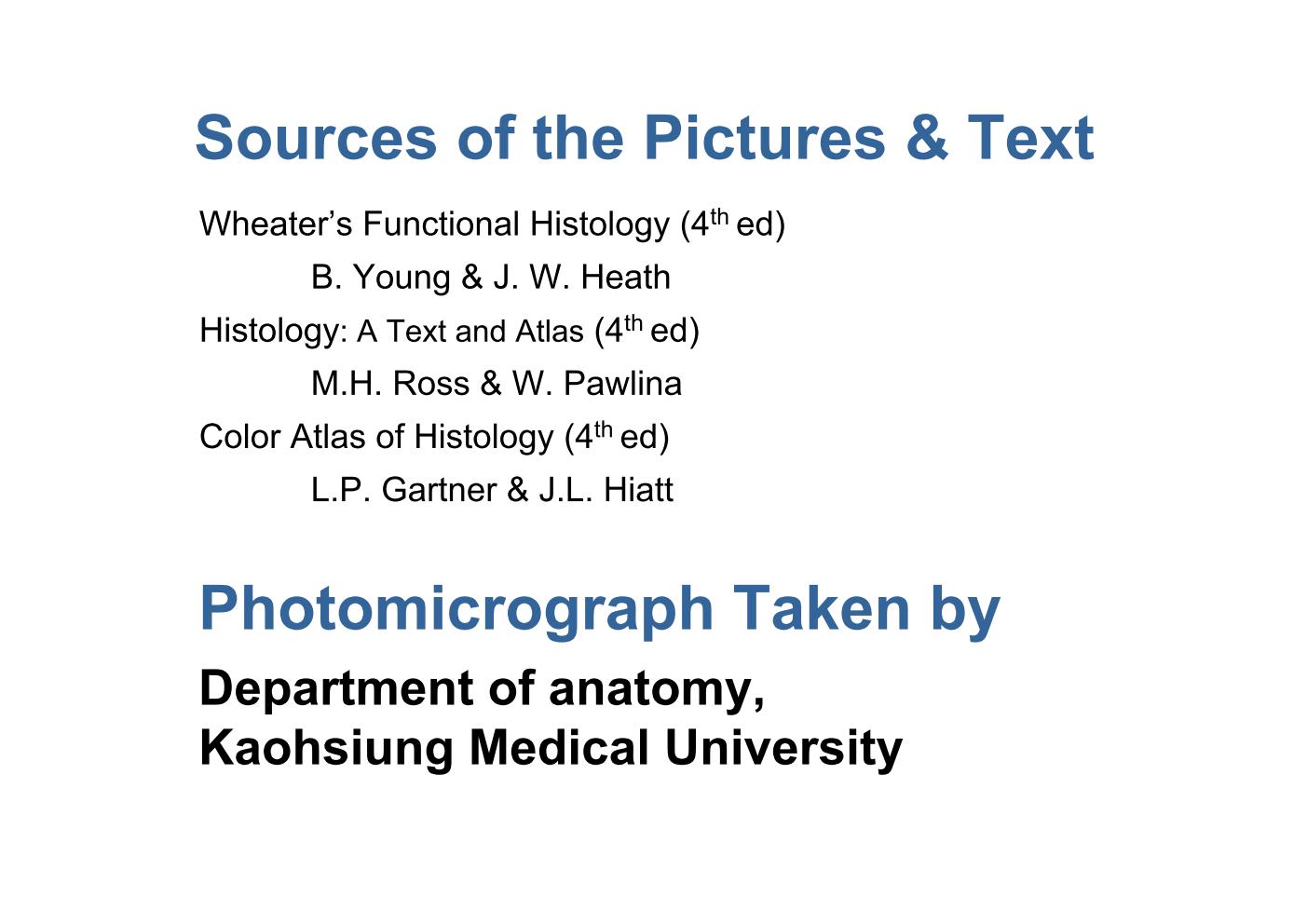 block6-2_02.jpg - Sources of the Pictures & TextWheater's Functional Histology (4th ed)        B. Young & J. W. HeathHistology: A Text and Atlas (4th ed)        M.H. Ross & W. PawlinaColor Atlas of Histology (4th ed)        L.P. Gartner & J.L. HiattPhotomicrograph Taken byDepartment of anatomy,Kaohsiung Medical University