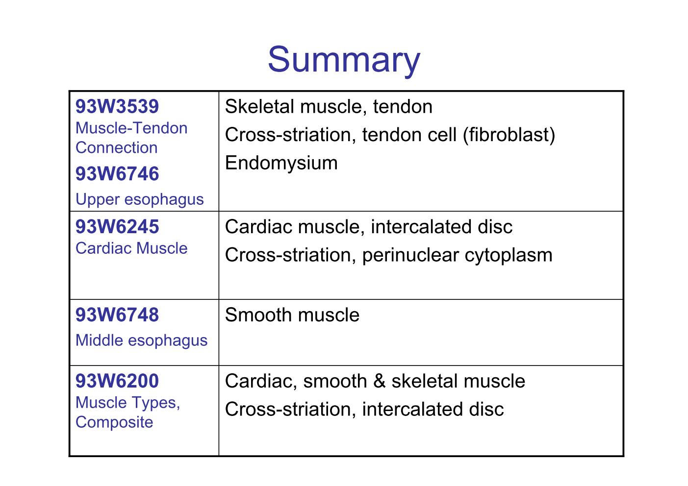 block6-2_15.jpg - Summary93W3539 Muscle-Tendon Connection          93W6746 Upper esophagusSkeletal muscle, tendonCross-striation, tendon cell (fibroblast)Endomysium93W6245 Cardiac Muscle           Cardiac muscle, intercalated discCross-striation, perinuclear cytoplasm93W6748 Middle esophagus           Smooth muscle93W6200 Muscle Types, Composite          Cardiac, smooth & skeletal muscleCross-striation, intercalated disc