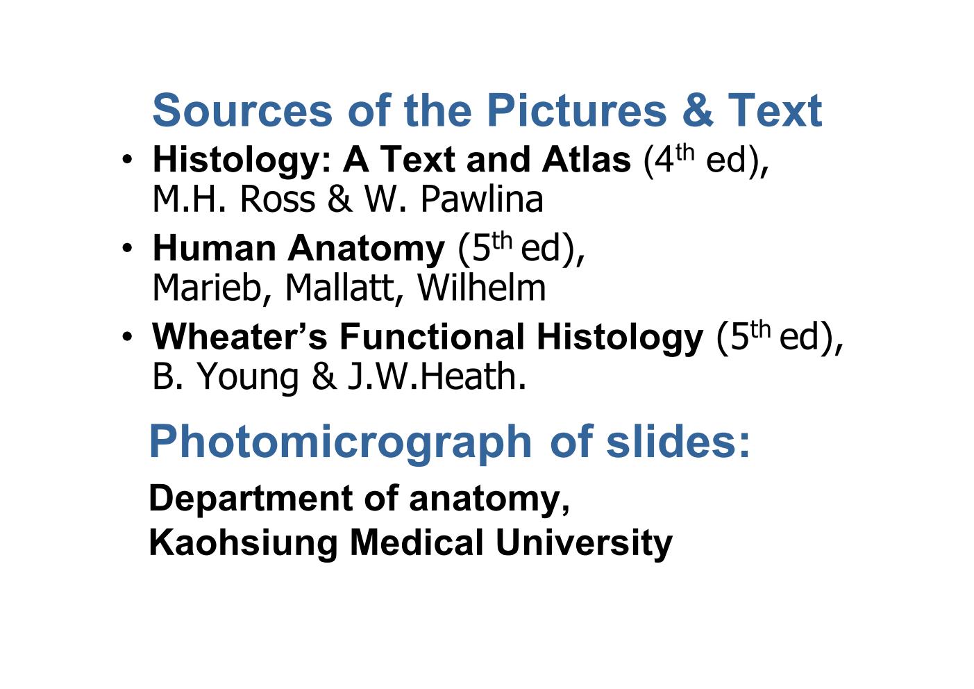 block7_02.jpg - Sources of the Pictures & Text¡E Histology: A Text and Atlas (4th ed),  M.H. Ross & W. Pawlina¡E Human Anatomy (5th ed),  Marieb, Mallatt, Wilhelm¡E Wheater's Functional Histology (5th ed),  B. Young & J.W.Heath. Photomicrograph of slides: Department of anatomy, Kaohsiung Medical University