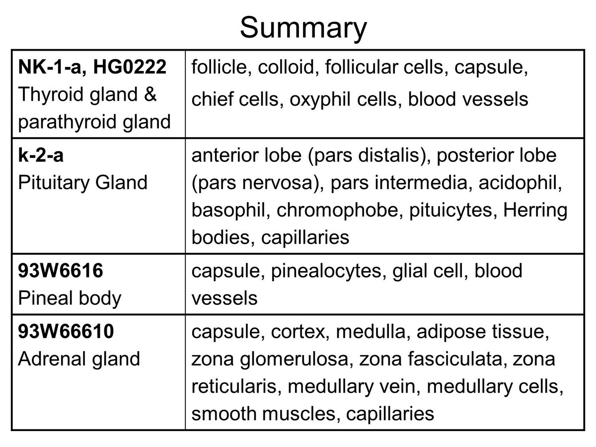 block11_30.jpg - SummaryNK-1-a, k-1-a Thyroid gland & parathyroid gland     follicle, colloid, follicular cells, capsule,chief cells, oxyphil cells, blood vesselsNK-2-c, k-2-a Pituitary Gland      anterior lobe (pars distalis), posterior lobe(pars nervosa), pars intermedia, acidophil,basophil, chromophobe, pituicytes, Herringbodies, capillariesK-3-a Pineal gland              capsule, pinealocytes, glial cell, blood vesselsNK-5-a Adrenal gland             capsule, cortex, medulla, adipose tissue,zona glomerulosa, zona fasciculata, zonareticularis, medullary vein, medullary cells,smooth muscles, capillaries