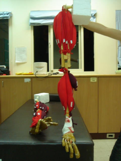 DSC01270.JPG