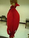 DSC01277
