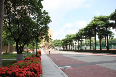 201406261002.jpg