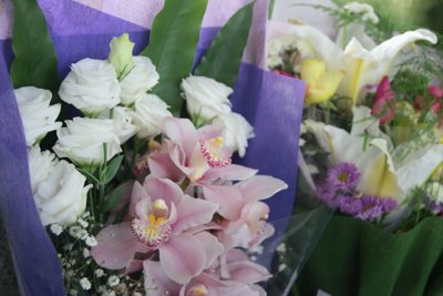 20140214089.jpg
