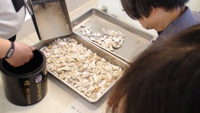 20170119133.jpg