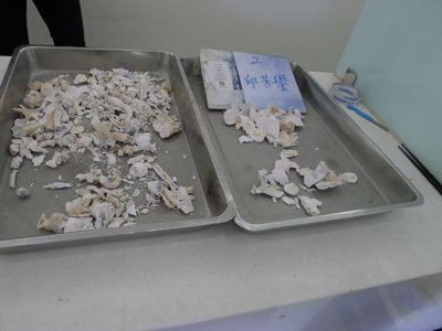 P1340750.JPG