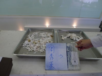 P1340816.JPG