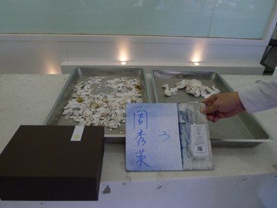 P1340817.JPG