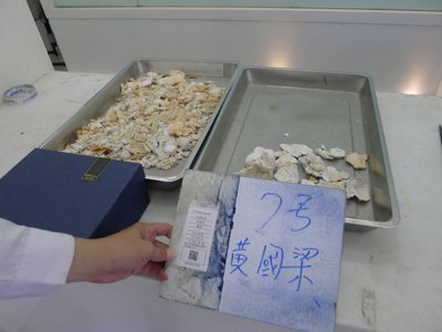 P1340819.JPG