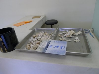 P1340815.JPG