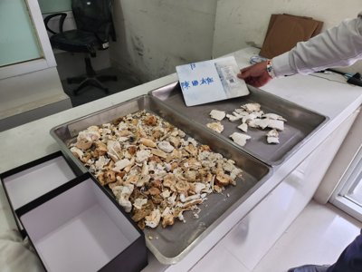 20250626_133511.jpg
