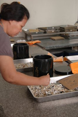 200806292086.jpg