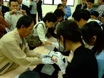 2008_0329_133529.jpg