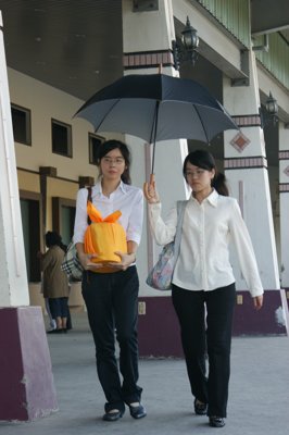 201007022141.jpg