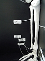 DSCN0707